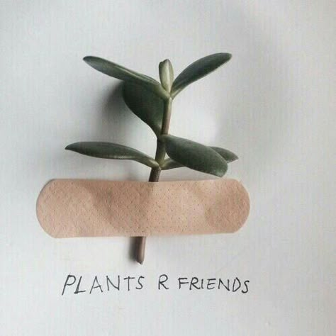 #wattpad #random Sorry bitches. Art hoes only. Jk. But actually tho We Heart It, Lost, Tumblr, Plants