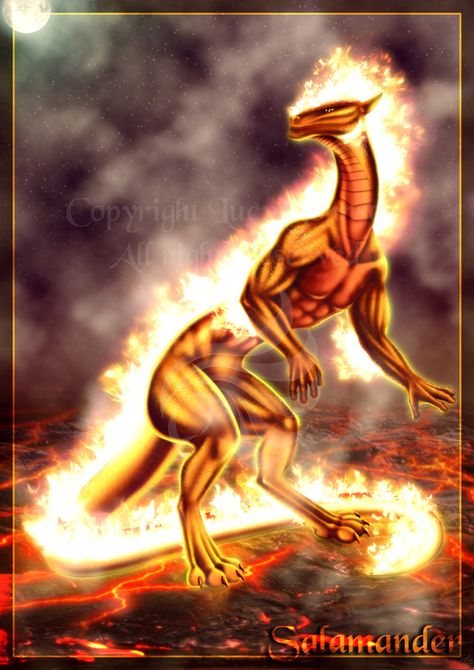 Salamander Salamander Mythology, Greek Mythology, Mythical Creatures, Fantasy Creatures, Planets