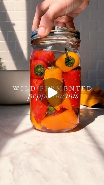 Kaitlynn Fenley on Instagram: "I just shared this fermented pepperoncini recipe on our blog. They do taste a little different from the well known pickled version, but they are so delicious! Give this reel a like, then visit the link in our bio to get the recipe. I know what you might be thinking though… “aren’t pepperoncini peppers greenish yellow?” Pepperoncini are small, slightly hot, and come in a variety of colors. Like most peppers, the fruit is first green or yellowish-green and then ripens to a red color. So you'll find both green and red pickled pepperoncinis in stores, although green is most common. Pepperoncini comes from the name peperoncino, which is the generic Italian name for hot chili peppers. People also call these peppers golden Greek peppers, Tuscan peppers, or sw Sweet Italian Peppers, Greek Peppers, Pepperoncini Peppers, Yellowish Green, Hottest Chili Pepper, Chili Peppers, Hot Chili, The Fruit, Green And Red