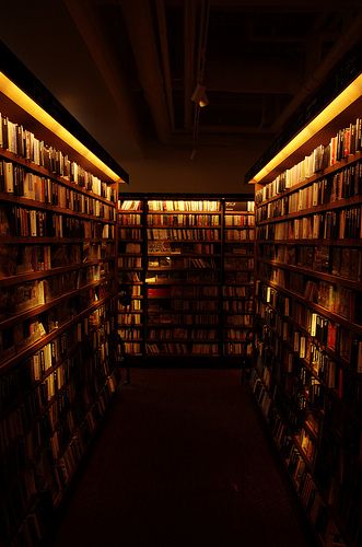 Dimly Lit Library, Library Lighting, Cinematic Lighting, Yard Lights, Live In Style, Space Place, Environment Design, Architecture, Design