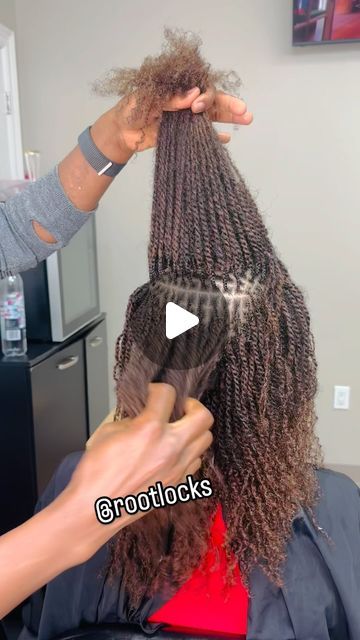 Micro Locs With Extensions, Microlocs With Extensions, Micro Braid Locs, Locs Journey, Micro Locs, Loc Extensions, Locs, Hair Extensions, Natural Hair Styles