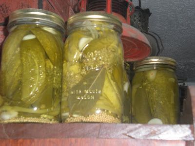 Homestead Wannabes: German Dill Pickle Recipe [recommended by Larry Hall] Ohio Recipes, Dill Pickle Recipe, Pickle Recipes, Canning Peaches, Pickles Recipe, Canning Pickles, Canning Food Preservation, Canned Food Storage, Pickle Recipe