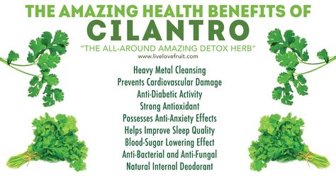 Benefits Of Cilantro, Detox Herbs, Tomato Nutrition, Calendula Benefits, Coconut Health Benefits, Natural Healing Remedies, Benefits Of Coconut Oil, Herbal Magic, Essential Nutrients