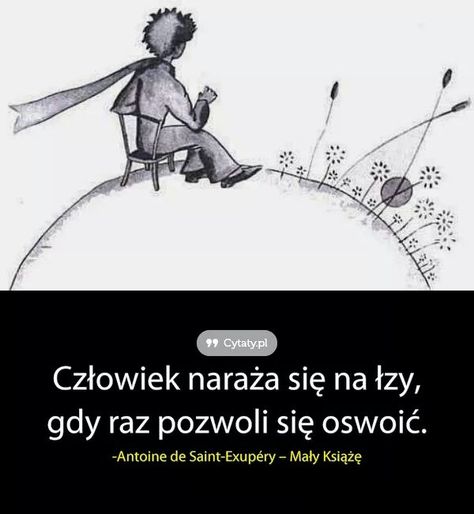 "Człowiek naraża się na łzy, gdy raz pozwoli się oswoić." - Antoine de Saint-Exupery Shocking Facts, Different Quotes, Magic Words, More Than Words, Poetry Quotes, Beautiful Quotes, Beautiful Words, Wisdom Quotes, True Quotes