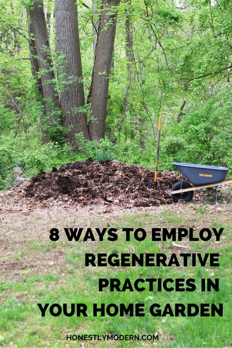 Regenerative Gardening At Home, Regenerative Farming Backyard, Regenerative Landscape Design, Regenerative Homestead, Regenerative Agriculture Design, Beautiful Permaculture Garden, Regenerative Gardening, Agroforestry Permaculture, Suburban Permaculture Design