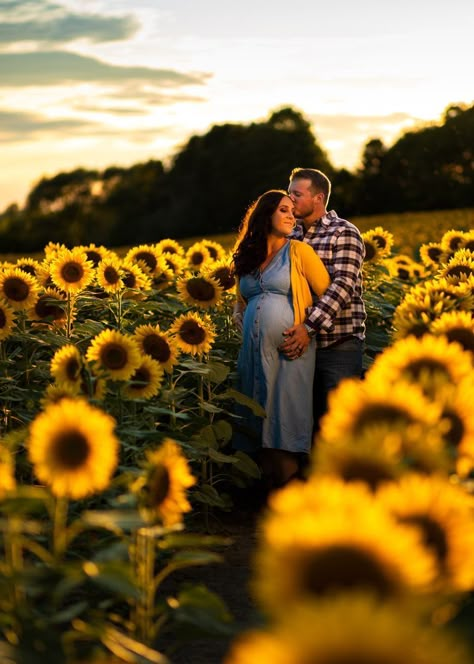 Sunflower Maternity Shoot, Sunflower Maternity Pictures, Pumpkin Maternity Photos, Sunflower Poses, Fall Maternity Shoot, Fall Maternity Pictures, Summer Maternity Photos, Windsor London, Sunflower Photoshoot