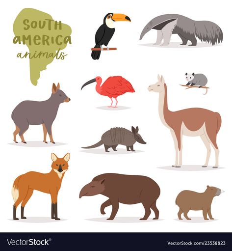 South America Animal, Animals Of South America, North America Animals, Continents Activities, Wildlife Illustration, American Animals, American Illustration, Animal Icon, Animal Activities