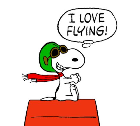 Snoopy - The World War I Flying Ace Airborne and Loving It Pilot Snoopy, Peanuts Cartoon Quotes, Snoopy Pilot, Red Baron Snoopy, Charly Brown, Snoopy Gif, Funny Pilot, Continental Airlines, Poddle