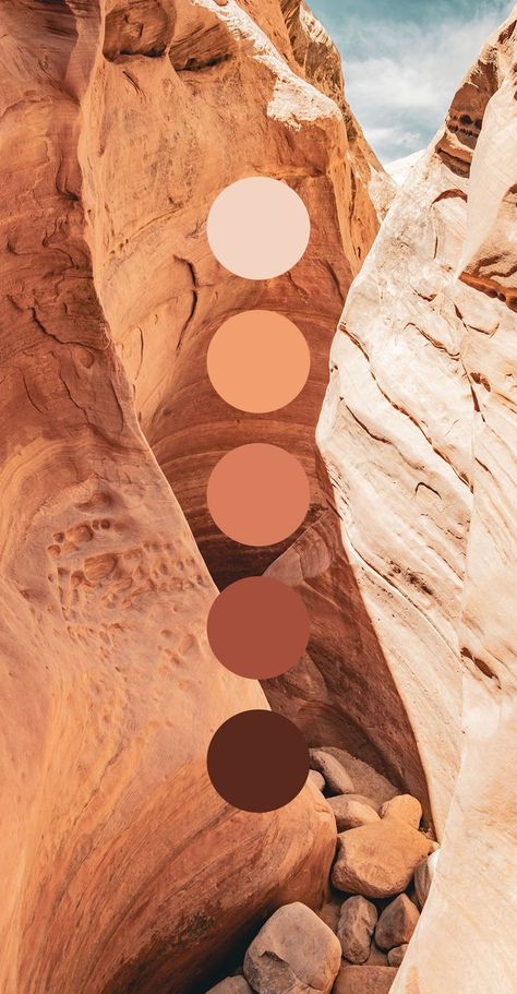 Colors Moodboard, Desert Color Palette, Nude Color Palette, Spanish Home Decor, Desert Colors, Color Vibe, Paint Color Palettes, Diy Home Decor Bedroom, Color Studies