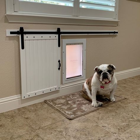 Slide Out Dog Kid Doors, Front Door With Doggie Door, Mini Sliding Door, Dogie Door Ideas, Sliding Half Door, Sliding Dog Door, Diy Doggie Door For Sliding Glass Door, Dog Door Ideas Sliding Glass Door, Doggy Door Ideas Large Dogs