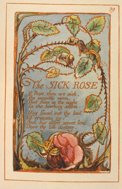 The Sick Rose, Blake Poetry, Sun Princess, Songs Of Innocence, Folk Horror, Period Fashion, The Howling, Story Art, History Images