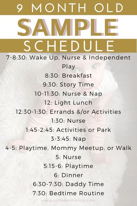 Babies are anything but predicable so every day is different, BUT that being said we base our days off this sample schedule / daily routine for 9 month olds. 9 Month Old Schedule, 9 Month Old Baby Activities, Ideal Day, 9 Month Old Baby, Baby Routine, Toddler Schedule, Baby Schedule, Baby Play Activities, Baby Life Hacks