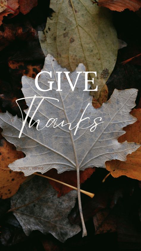 Thanks Giving Aesthetic, Thanksgiving Astetic, Thankful Quotes Grateful, Thankful Quotes For Friends, Thankful Aesthetic, Positivity Photography, Manifestation Journal Prompts, Thankful For, In All Things Give Thanks