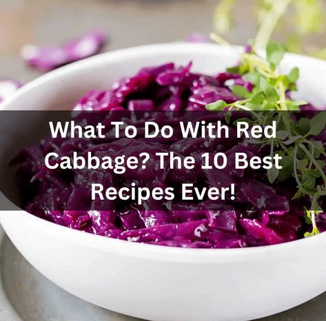 What to do with red cabbage? The 10 best recipes ever! Sweet Red Cabbage Recipes, How To Use Red Cabbage, Red Cabbage Cooked Recipes, Red And Green Cabbage Salad, Canned Red Cabbage Recipes, Recipes With Red Cabbage Meals, Red Cabbage Smoothie, Red Cabbage Meals, How To Cook Red Cabbage