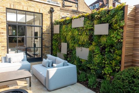 Growing Revolution Living Walls Outdoor, Beach Cottage Garden, Green Wall Ideas, Wall Plants Indoor, Living Wall Indoor, Compact Garden, New Home Design Ideas, Courtyard Patio, Garden Wall Designs