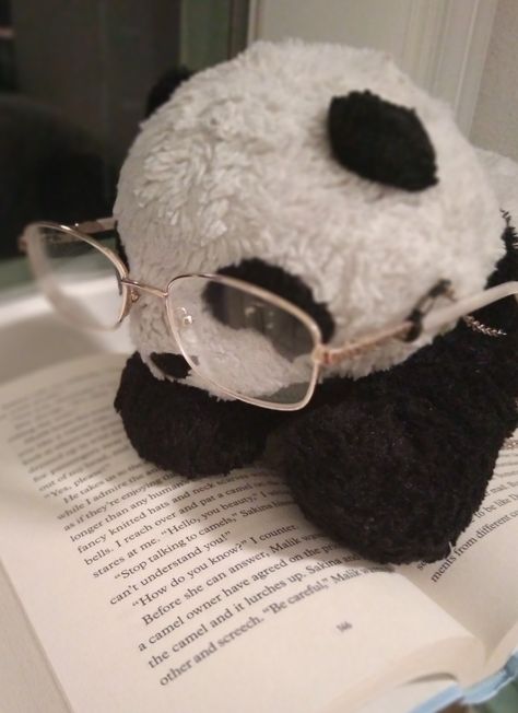 Photography Cute Panda Pfp, Panda Profile Pictures, Panda Pfp Aesthetic, Cute Panda Aesthetic, Panda Pfp, Panda Aesthetic, Panda Asthetic Picture, Panda Plushie, Panda With Glasses