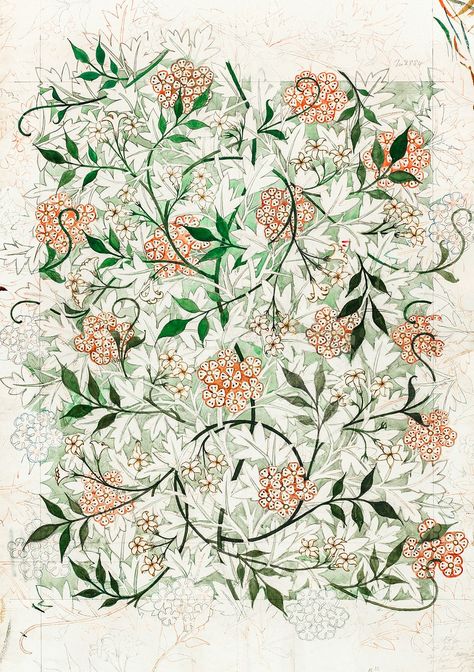 Jasmine by William Morris. Original from The Birmingham Museum. Digitally enhanced by rawpixel. | free image by rawpixel.com William Morris Jasmine, William Morris Drawing, William Morris Free Printable, William Morris Flowers, Morris Pattern, William Morris Prints, Fifty Flowers, William Morris Poster, William Morris Patterns