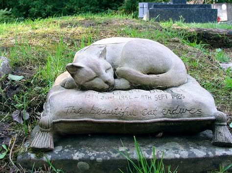 Animals are Angels too...A small gravestone at Highgate Cemetery in London. ("The beautiful cat endures" was an inscription carved at Thebes.) Cat Gravestone, Cat Headstone, Grave Stone, Grave Stones, Highgate Cemetery, Cemetery Statues, Pet Cemetery, Cemetery Headstones, Grave Markers