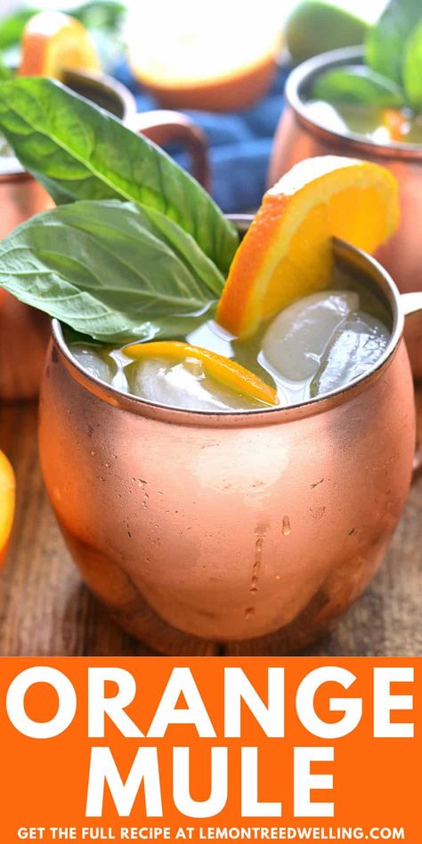 Orange Moscow Mules are a sweet and refreshing cocktail, combining vodka, orange juice, ginger beer, and a hint of lime. A classic cocktail... with a twist! Mango Moscow Mule Recipe, Gin Moscow Mule, Orange Moscow Mule Recipe, Drinks With Ginger Beer, Mule Drink Recipes Ginger Beer, Ginger Ale Punch, Apple Mule Ginger Beer, Moscow Mule Variations, Ginger Beer Mule