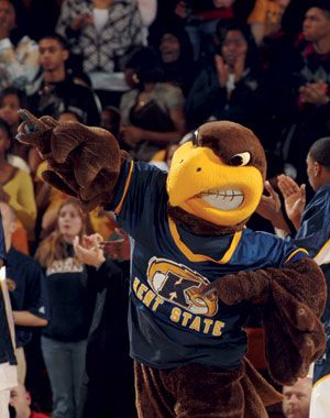 Golden Flash- Kent State University Eagle Costume, Brown Eagle, Kent Ohio, University Aesthetic, Ohio Girls, Eagle Mascot, Sette Nani, Kent State University, Black Owl