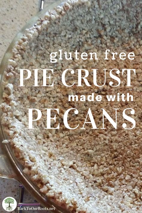 Nut Crust For Pie, Pecan Pie Crust Recipe, Pecan Crust Recipe, Keto Pie, Gluten Free Pecan, Keto Pecan Pie, Pecan Pie Crust, Pecan Crust, Dessert Pie Recipes