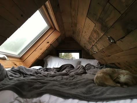 Stayed In A Tiny House Recently, This Was The Bed. Wonderful Place To Curl Up And Listen To The Rain Tiny Places Ideas, Tiny House Cabin, Aesthetic Rooms, Dream Room Inspiration, Cozy Place, House Room, Cozy Room, Room Inspiration Bedroom, Room Ideas Bedroom