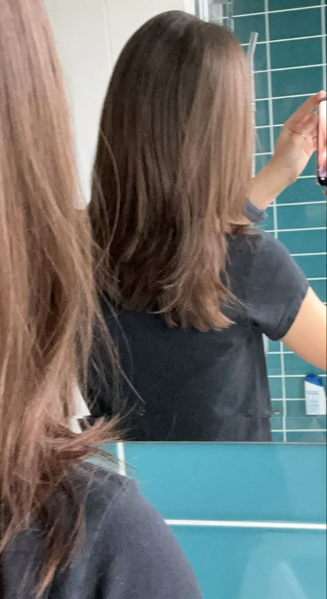 Mid Length Hair Without Layers, Mid Length Hair Unstyled, Midlength Layers Haircut, Mid Hair Length Haircuts, Simple Mid Length Haircut, Mid Lenght Haircut Girl, Mid Back Haircut, Mid Length Hair Brown, Mid Length Hair With Layers Brunette