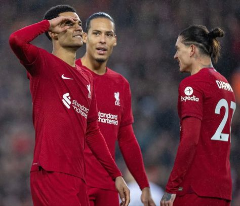 Cody Gakpo, Darwin Nunez, Virgil Van Dijk, Van Dijk, Liverpool Fc, Manchester United, Premier League, Liverpool, Manchester