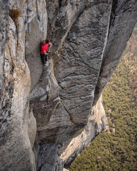 Alex Honnold, Solo Climbing, Jimmy Chin, Free Climb, Best Documentaries, Rock Climbers, Adventure Photography, Extreme Sports, Yosemite National