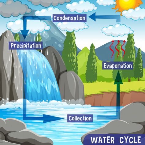 Water Cycle Process, Water Cycle For Kids, Water Cycle Poster, Water Cycle Project, Water Cycle Diagram, Cycle Drawing, Nature Activity, The Water Cycle, Space Coloring Pages