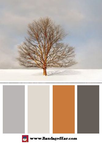 Color Palette: Alone in the Whiteness by Carlos Casamayor Colour Platette, Condo Decor, Christmas Color Palette, Combo Color, Color Coordination, Color Boards, Cool Color Palette, Color Board, Condo Decorating