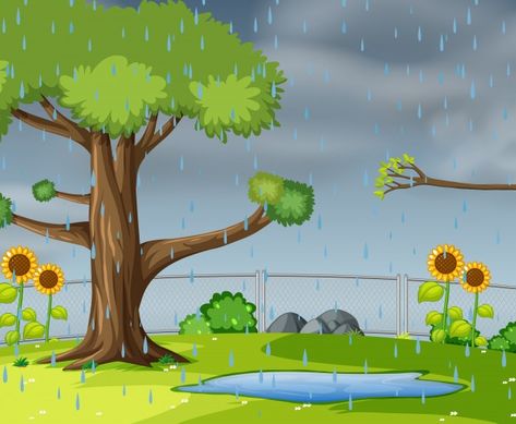 Raining Illustration, Rain Cartoon, Rainy Window, Cartoon Garden, Easter Floral Arrangement, Wheelbarrow Garden, Autumn Animals, School Images, Cartoon House