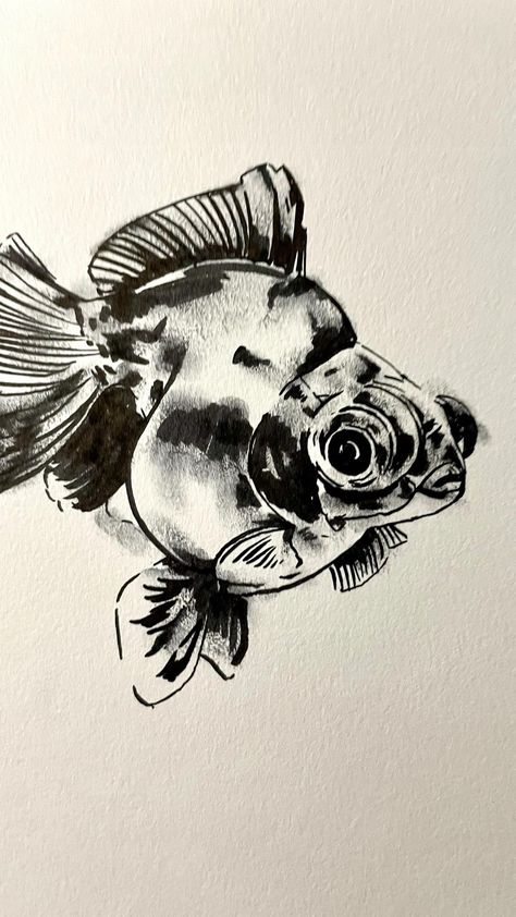 Black Brush Pen Art, Ink Brush Drawing, Fish Ink Drawing, Fish Pencil Sketch, Fish Pen Drawing, Fish Charcoal Drawing, Fish Drawing Detailed, Black And White Fish Drawing, Fish Biro Drawing