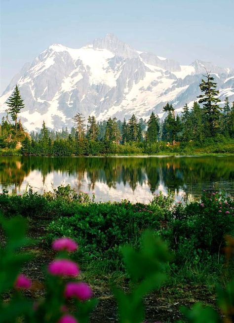 Aizen Power, Mount Baker, Mt Baker, Wa State, Washington Usa, Beautiful Mountains, Morning Glory, Nature Scenes, Beautiful Landscapes