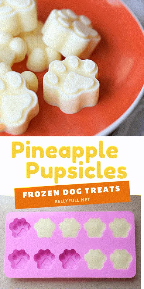 These Pineapple Pupsicles are homemade dog treats your fur baby will love! Easy, healthy, grain free, frozen, and refreshing with pineapple and yogurt – perfect for your fur baby during summer or any time of year! Homemade Frozen Dog Treats, Frozen Dog Treats Recipes, Frozen Dog Treats Homemade, Dog Treats Homemade, Pet Treats Recipes, Dog Treats Homemade Easy, Easy Dog Treat Recipes, Frozen Dog Treats, Dog Biscuit Recipes