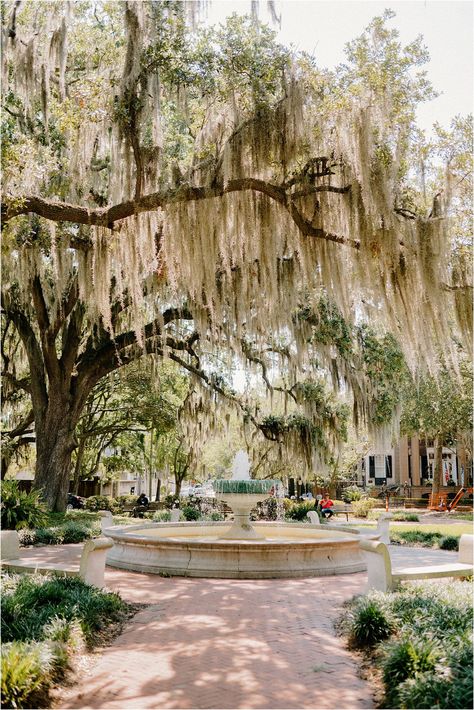 Savannah Astetic, Wedding In Savannah Georgia, Small Savannah Wedding, Coastal Georgia Wedding, Savannah Georgia Photography, Savannah Wedding Photos, Savannah Georgia Engagement Pictures, Savannah Wedding Venues, Savannah Georgia Aesthetic