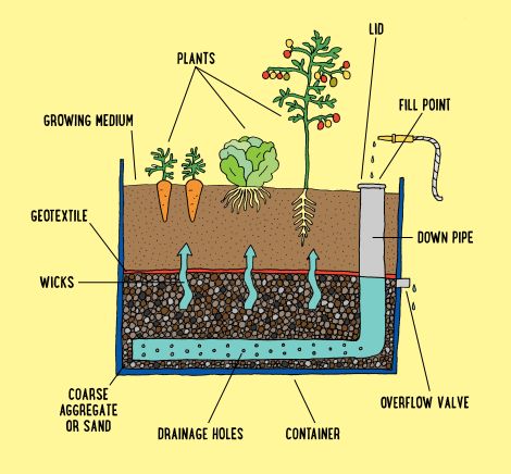 Wicking Garden Bed, Vegetable Garden Diy, Veggie Patch, Veg Garden, Have Inspiration, Home Vegetable Garden, Self Watering Planter, Vegetable Garden Design, Mural Design