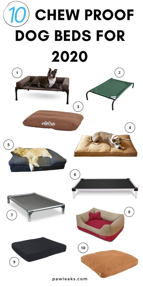 Chew Proof Dog Bed Diy, Indestructible Dog Bed, Best Dog Products, Dog Products Must Have, Dog Cot Bed, Chew Proof Dog Bed, Dogs Products, Pet Beds For Dogs, Durable Dog Bed