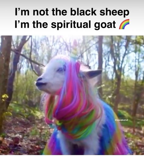 Funny Makeup Memes, Rave Memes, Spiritual Humor, Coworker Humor, Funny Goat, Baby Grinch, Makeup Memes, Thinking Of You Quotes, Goats Funny