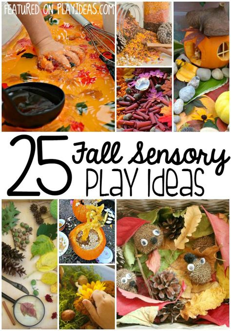 fall-sensory-play-pin Teaching Prek, Sensory Bin Play, Fall Sensory Bin, Beach Babies, Fall Sensory, Sensory Tray, Monthly Activities, Sensory Ideas, Fall Activity