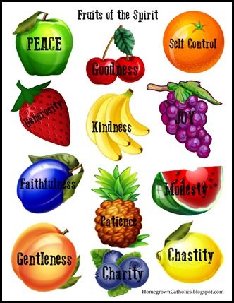 Homegrown Catholics - St Brigids Academy Blog: Forever Tree for ... Fruit Of The Spirit Tree, Holy Spirit Craft, Fruits Of The Holy Spirit, Spirit Tree, Fruits Of The Spirit, Fruit Displays, Kinds Of Fruits, Tree Spirit, Fruit Party