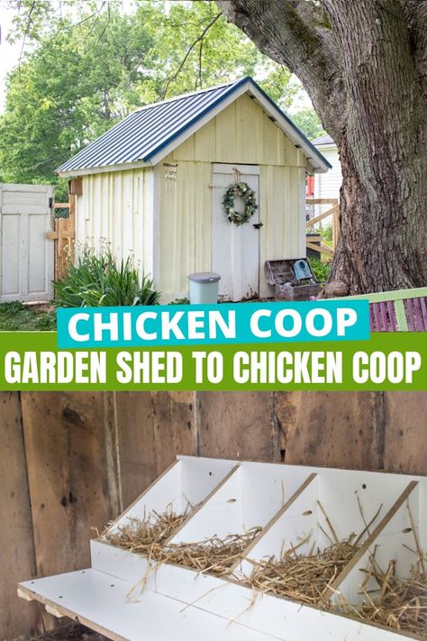 Chicken Coop Designs Shed, Shed Made Into Chicken Coop, Secret Chicken Coop, Chicken Coop Garden Shed, Garden Shed To Chicken Coop, How To Turn A Shed Into A Chicken Coop, Metal Shed Turned Chicken Coop, Red Chicken Coop Ideas, Chicken Coop In Shed