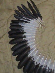 Sample Imitation Eagle Feathers Gallery Bald Eagle Feather, Eagle Feathers, Turkey Feathers, Golden Eagle, Bald Eagle, Feathers, Sewing, Drawings