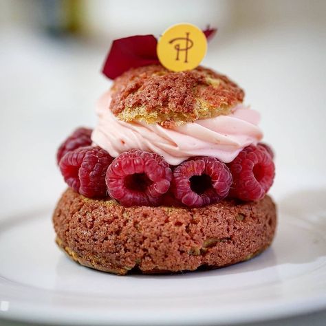 Pastry Creation on Instagram: “Ispahan chou - raspberry and litchi _ 👨🏼‍🍳 @ph_carrement_chocolat 📍 @pierrehermeofficial _______ 📸 @laurent_abdalcanny ________________…” Gorgeous Desserts, Google Search Console, Eclairs, Pastry Chef, Week End, Mini Cheesecake, Pastry, Raspberry, Cheesecake