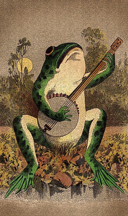 Collage Des Photos, Art Hippie, Arte Indie, Arte Peculiar, Bel Art, Art Mignon, Frog Art, Picture Collage Wall, A Frog