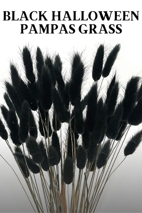 Elevate Your Halloween Decor with Elegant Black Pampas Grass! 🎃🌾 Add a touch of sophistication and spookiness to your space with these stunning black pampas grass stems. Perfect for creating a bewitching atmosphere. Get yours now! Click on my pin to get the Amazon link for the Black Halloween Pampas Grass #HalloweenDecor #BlackPampasGrass #Elegant #FallDecor #PampasGrass #Amazon #findstiktok #tiktok #HalloweenDecor #Decoration #DYI #decor #livingroom #Tiktok #Findstiktok #Musthaves #Finds Black Pampas, Cute Halloween Decorations, Boho Halloween, Halloween Floral, Bunny Tails, Fall Arrangements, Amazon Link, Flowers Black, Craft Decoration