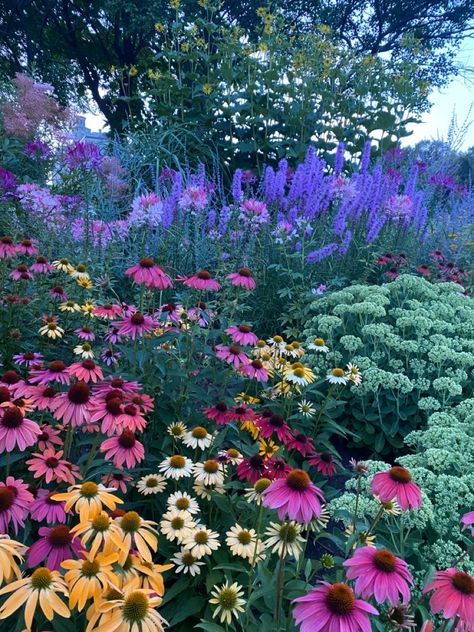 Anemone Garden Ideas, Flower Garden Photos, Beautiful Gardens Magical, Wild Flower Garden Ideas, Wildflower Garden Front Yard, Wildflower Landscaping, Wildflower Garden Ideas, Backyard Wildflower Garden, Zinnia Field