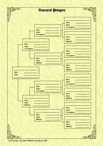 Family Tree Forms, Family Tree Template Word, Blank Family Tree Template, Genealogy Templates, Free Family Tree Template, Blank Family Tree, Free Genealogy Sites, Family Tree Printable, Family History Projects