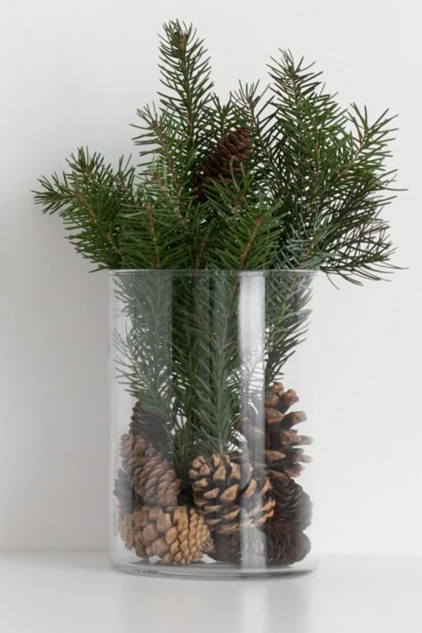 DIY Fresh Pine Centerpiece Pine Tree Branches Decor, Pine Tree Decoration Ideas, Christmas Tree Branch Centerpiece, Evergreen And Pinecone Centerpiece, Pine Tree Clippings Decor, Decorating With Pine Branches, Christmas Pinecone Centerpieces, Pine Branches Decoration, Pine Boughs Decorations Diy