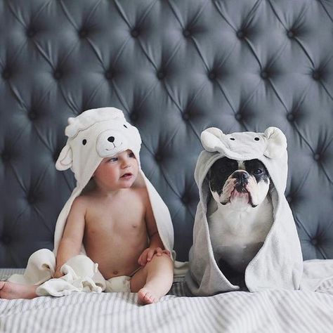 Dog And Baby, Photo Bb, Bulldog Francese, Baby Friends, Newborn Baby Photoshoot, Foto Baby, Baby Towel, Dogs And Kids, Newborn Baby Photography